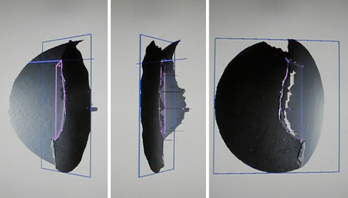 韋林內窺鏡三維立體測量的點云圖驗證 韋林內窺鏡三維立體測量的點云圖驗證